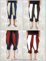 Medieval Knee Britches Peredur - Bicolor